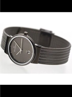 Skagen Gray Dial Mesh Band Women's Watch